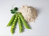 Erbsenprotein 85% Proteingehalt veganes Eiweißpulver