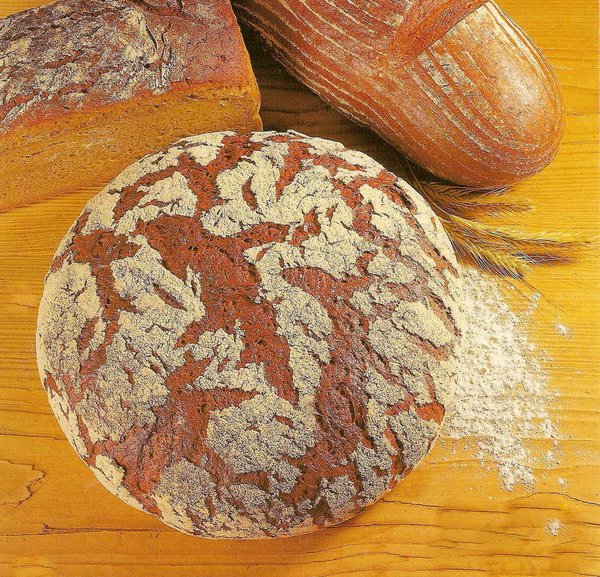 Brotbackmittel Fertigsauer Roggensauerteig getrocknet